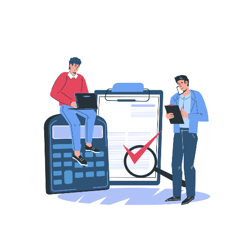 Audit Support